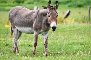 インソールを使った投球で肩肘への負担を減らす方法は？