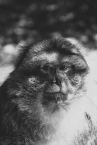 リカバリーボールを使った肩のほぐし方法は？