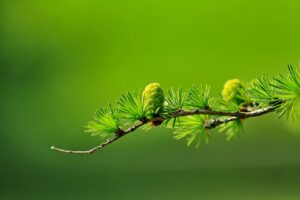 筋膜リリースガンを使った肘周りの効果的な使い方は？