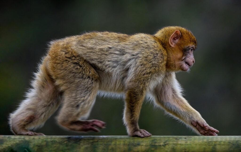 リカバリーウェアの野球における口コミ比較はどれが一番効果的？